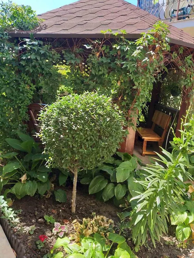 Guest house Family Nest Hotel Zatoka